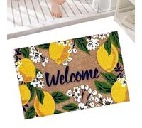 Felpudo interior - 60 x 40 cm antideslizante lavable - Felpudo de puerta y alfombra de suelo | para suelo de interior, cocina, cuarto de baño, salón, pasillo, terraza