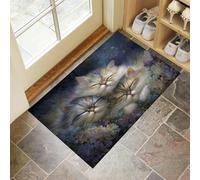 Felpudo Interior 60 x 90 cm, Base Antideslizante Pelo Corto Multiusos - Cielo Estrellado Flores Gato Animales Pintados Al Óleo De Ensueño, Felpudos Fino, Felpudo Exterior Para Puerta De Casa, Entrada