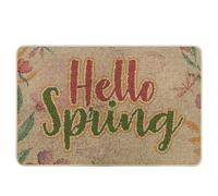 Felpudo lavable con diseño de primavera con texto en inglés "Hello Spring Word", estilo rústico, libélula y flores, rosa, verde, goma, absorbente, decoración para puerta delantera, interior y exterior
