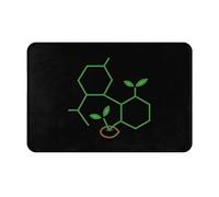 Felpudo Molécula De Brote De Canna lfombra Baño Secado Rápido Alfombrilla Baño Resistente Felpudo Entrada para Cocina Jardín Pasillo 40X60Cm