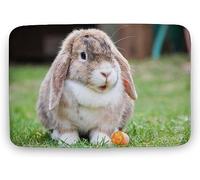 Felpudo para La Entrada ¡Cuidado con Los Rabbit! ¡Hay Excremento De Rabbit por Todas Partes! Alfombra para Ducha Lavable A Máquina Alfombra Limpia, para Bañera, Jardín, Cocina, 40x60cm
