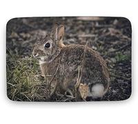 Felpudo para La Entrada Rabbit, No Me Digas Qué Hacer Alfombra Baño Modernas Lavable A Máquina Tapete Mascotas, para Ducha, Bañera, Cocina, 40x60cm