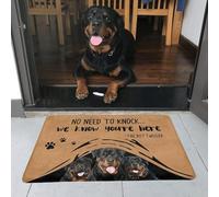 Felpudo para La Entrada Rottweiler No Hace Falta Llamar Alfombra para Ducha Personalizado Microfibra Alfombra Limpia, para Interior O Exterior, Terraza, Cocina, 40x60cm