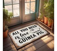 Felpudo para puerta de entrada de casa, con texto en inglés "Love And A Guinea Pig: A Cozy Corner Doormat Gamers Accessories Plain Outdoor Mat (40 x 60 cm)