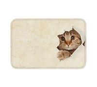 Felpudos 40x60cm, Lindo Gato Vintage Mirando hacia Un Agujero De Papel Roto Felpudos para Entrada De Casa Antideslizante Alfombra Limpia, para Bañera, Ducha, Pasillo, Salon