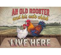 Felpudos Aquí Viven Un Gallo Viejo Y Su Lindo Polluelo Felpudo Suaves Alfombras Baño Absorbentes Doormat para Dormitorio Oficina 40X60 CM