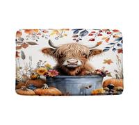 Felpudos Cute Highland Cow Fall Thanksgiving Day Pumpkin Rustic Farm Animal Cow Antumn Farmhouse Suaves Alfombra De Entrada Antisuciedad Felpudo para Dormitorio Cocina Jardín 40X60 CM