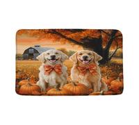 Felpudos Fall Thanksgiving Cute Dog Autumn Pumpkin Funny Animal Rustic Nature Seasonal Festival Doormat Suaves Alfombra De Entrada Resistente Felpudo para Cocina Jardín Portón 40X60 CM