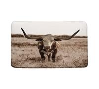 Felpudos Farmhouse Highland Cow Brown Rustic Bull Western Farm Wild Animal Funny Alfombra De Entrada Suaves Felpudo Interior Absorbentes Doormat para Cocina Jardín Portón 40X60 CM