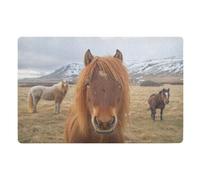 Felpudos Funny Horses Falls Alfombras Baño Resistente Alfombra De Entrada Antisuciedad Doormat para Cocina Jardín Oficina 40X60 CM