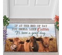 Felpudos Ganado Angus Rojo Ha Sido Un Buen Día Sonríe como Ganado Bienvenidos Alfombra De Entrada Absorbentes Felpudo Impermeable para Jardín Cocina 40X60 Cm