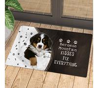 Felpudos Los Besos De Las Montañas De Lo Arreglan Todo Doormat Absorbentes Felpudo Suaves para Dormitorio Oficina 40X60 Cm