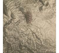 Felt Ignite the Seven Cannons (Vinyl) (Importación USA)