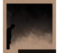 Felt The Transition [Vinilo]