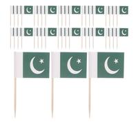 FELTECHELECTR 200 Piezas Banderas Palillos Dientes Pakistán Mini Decoración para Pasteles Aperitivos Fiesta Verde Cocktail Sticks para Postres