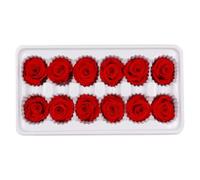 FELTECHELECTR Caja de 12 Rosas Preservadas Rojas de 3-4 Cm para DIY, Rosa Inmortal Real para Decoración de Bodas y Día de San Valentín, Flores Que Nunca Se Marchitan