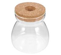 FELTECHELECTR Contenedor de Ecosistema de Cristal para Plantas Suculentas Diseño de Micro Paisaje, Material de Cristal y Madera, Adecuado para Oficina o Área de Trabajo