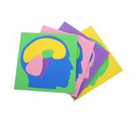 FELTECHELECTR Rompecabezas Montessori de Anatomía Cerebral para Niños Pequeños, Modelo de Cerebro Humano de 4 Piezas, Educativo Stem, Juego Cognitivo para Aprendizaje y Color Aleatorio