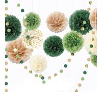 Feluxor Fiesta Deko Verde Salvia 15 Pcs Papel de Seda Pompones Deko Verde Abanicos de Papier Farolillo de Papel Salvia Guirnalda para Decoración de Cumpleaños Baby Shower Boda Fiesta