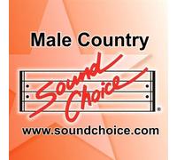 Female Country Hits, Vol. 1 [KARAOKE] by Artist Not Provided