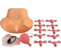 Female Gynecological Manikin Model for Healthcare applications Training | Birth Simulator with Detailed Anatomy for Gynecology Education