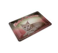 Femer Postal de chapa con diseño de gato, 14 x 10 cm, diseño británico de pelo corto