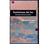 Feminismos del sur: Recorridos, itinerarios, junturas: 5 (Feminismo - Serie compilado de los mejores títulos refiriendo a esta temática tan importante en el pasado, presente y futuro.)