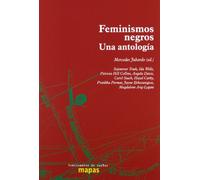 Feminismos Negros. Una Antología (SIN COLECCION)