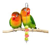 Fenayuu Pincho para Alimento de Aves | Varilla Portafrutas Inoxidable,Brocheta de Verduras para Periquitos,para Jaula, Guacamayo, Cacatúa, Perico, NINFA, Periquito, Agapornis, Canario y Mascotas