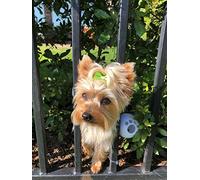 FenceMate Arnés para Perro para Mantener a tu Mascota a Salvo de Escapar (pequeño) se Adapta a Circunferencia de 12 a 17 Pulgadas