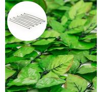Fency Bright leaf valla de protección visual y anti viento 300x150 cm haya verde claro Blumfeldt