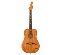 Fender Highway Series Dreadnought RW All-Mahogany Electro-Acoustic Guitar with Deluxe Gig Bag