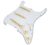 Fender PWPG 59 Strat RWRP WBW