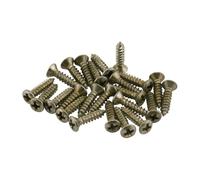 Fender Road Worn Pickguard/Control Plate Screws Nickel (24)