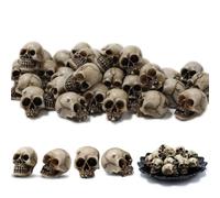 FENGCHUANG Calaveras Decorativas 20 Piezas Resina Calavera