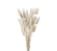 FENGCHUANG Pampas Secas Decoracion 50 Piezas de Flores Secas Naturales Decoración, Pampa Hierba Hierba Cola de Conejo Hierba Boho Decor Super Fluffy for Home Decor, Decoracion Boda (Blanco)