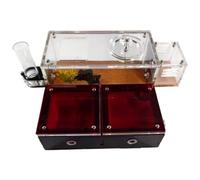 FENGJISUN Hormiguero Granja De Hormigas Castillo De Hormigas Caja Ecológica Granja De Hormigas Aprender La Vida De Las Hormigas Hormiguero Educación Científica Hormiguero para Adulto