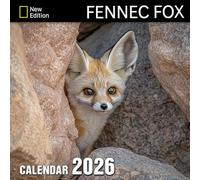 Fennec Fox Calendar 2026: Tiny ears and desert wonders captured in warm tones