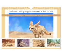 Fenneks - Neugierige Momente in der Wüste (Wandkalender 2027 DIN A4 quer), CALVENDO Monatskalender: Wenn riesige Ohren durch die Wüste streifen