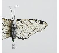 Fennesz - AUN