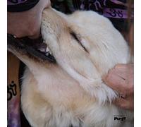 Fennesz - It's Hard for Me to Say I'm Sorry [Vinilo]