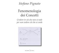Fenomenologia dei concetti. Credere in ciò che non si vede per non vedere ciò che si crede (Saggi)