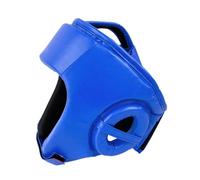 Fenteer Casco de Boxeo Equipo Completo de Casco de Entrenamiento con Protección Facial para Sanda Muay Thai Grappling Kickboxing, Azul