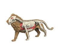 Fenteer Material didáctico: Modelo de Cuerpo Animal, Juguete de Aprendizaje, Rompecabezas, biología Animal Realista para enseñar a los niños en casa, 3108