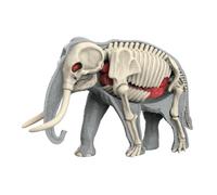 Fenteer Material didáctico: Modelo de Cuerpo Animal, Juguete de Aprendizaje, Rompecabezas, biología Animal Realista para enseñar a los niños en casa, 3109
