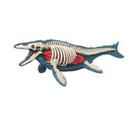 Fenteer Material didáctico: Modelo de Cuerpo Animal, Juguete de Aprendizaje, Rompecabezas, biología Animal Realista para enseñar a los niños en casa, 3106