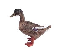 Fenteer Modelo de Animal de Ave de simulación, Juguete Educativo, colección, Accesorio de Aprendizaje, decoración del hogar, Figura de Animal de Granja, Pato Multicolor