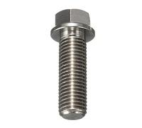 FenTeng THua Store M10 x 1.25 mm Titanio Ti Head Hex Blange Bolt 25 30 35 40 50 55 70 80 90 110 mm (Color Name : M10x25mm)