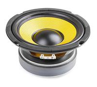 FENTON WK16 - Altavoz de Graves Fabricado con Cono de Kevlar de 6,5", 250 vatios de Potencia, Bobina ventilada Resistente al Calor, suspensión de Goma, diafragma de Fibra sintética Resistente