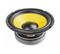 Fenton WK20 Woofer Kevlar 8" 250Wrms | Alta capacidad dinámica, cono de Kevlar reforzado, respuesta de graves potente, para proyectos HiFi y DIY